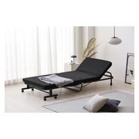 アイリスオーヤマ 折りたたみベッド OTB-TRR ブラック 1台（直送品）