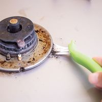 アズマ工業 レンジまわりブラシグリーン 391851200 1個（直送品）