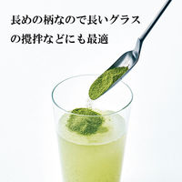 EAトCO（イイトコ） サジスプーン スリム ロング ステンレス製 AS0056 ヨシカワ 1個