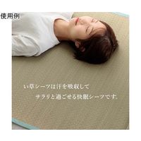 イケヒコ・コーポレーション い草シーツ ブルー ベビーサイズ 約70×120cm 67-5723-28 1個（直送品）