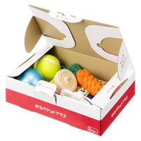 ゆうパケットプラス専用ダンボール箱 外寸法：縦24cm×横17cm×厚さ7cm 1セット（1梱包（5枚入）×10）