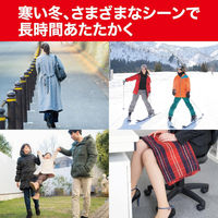 はらない快温くんミニ30コ入 カイロ 防寒 寒さ対策 暖かい 防災 備蓄 小さめ 4547691669711 1箱(1個(30枚入)x16)（直送品）