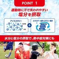 大正製薬　リポビタン　アイススラリー　ソルティライチ風味 120g　6個