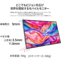 JAPANNEXT 16インチ ワイド モバイルモニター JNーMDーIPS16WQXGAR 1台