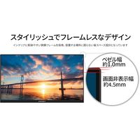 JAPANNEXT 21.5インチ 液晶モニター JNーV215F2 VAパネル ちらつき軽減 1台