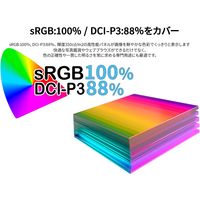 JAPANNEXT 31.5インチ ワイド液晶ディスプレイ JNーIPS3150WQHDR 1台