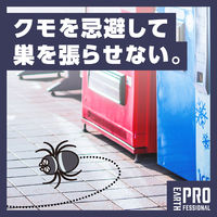 カメムシ 駆除 スプレー 業務用 虫ブロック クモの巣 窓ガラス 1本 アース製薬