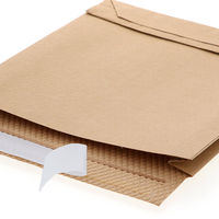 HEIKO 紙製クッション付き宅配袋 茶 250×50×270mm 封かんシール付 1セット（1袋（10枚入）×5） 004192022