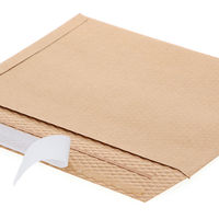 HEIKO 紙製クッション付き宅配平袋 茶 260×200mm 封かんシール付 1セット（1袋（10枚入）×10） 004192025