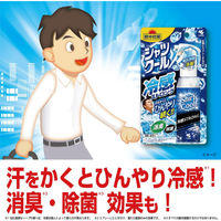 熱中対策 シャツクール 冷感ストロング 100mL 小林製薬 冷却用品