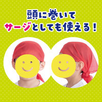 アーテック 腰巻 緑 2106 1セット(2枚)