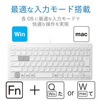 エレコム 有線ミニキーボード/パンタグラフ式/薄型/ホワイト TK-FCP096WH 1個