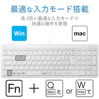 エレコム 有線コンパクトキーボード/パンタグラフ式/薄型/ホワイト TK-FCP097WH 1個（直送品）