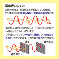 アーテック 偏光板 55829 1セット(3個)（直送品）