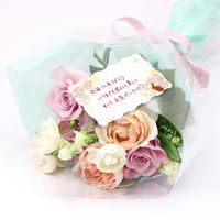 ササガワ ファンタジーカード ラビットアリス 16-586 1冊(100枚)