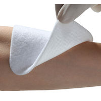 アルケア エスアイエイド 5号少量パック（10×10cm） 18762 1箱（3枚入）