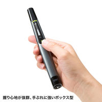 サンワサプライ グリーンパワーポインター LP-RFG110GM 1個