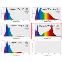 volxjapan（ボルクスジャパン） Grassy LeDio RX122 Sunset/サンセット 180380 1個（直送品）