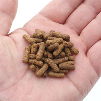 Leaf Corporation（リーフコーポレーション） 業務用 ff num100 アロワナ用 スティック 浮上性 10kg 201861 1個（直送品）