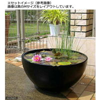 Leaf Corporation（リーフコーポレーション） 睡蓮鉢 メダカ鉢 凛 RIN グレー S 274978 1個（直送品）