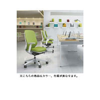 【無料引取付き】C681BW FMR3 |オカムラ シルフィー オフィスチェア ローバック アルミ脚 背メッシュ 可動肘付 ライトグレー 1脚（直送品）