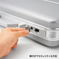 サンワサプライ ABSハードPCケース BAG-ABS5N2 1個（直送品）