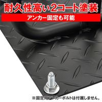 デイトナ ストロンガーパーキングプレート 20055 1個（直送品）