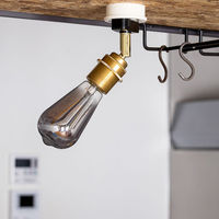 TIC スポットライト カーブ(引掛けシーリング用)ブラス/エジソン TC-1001-CURVE BS/ED 1セット（直送品）