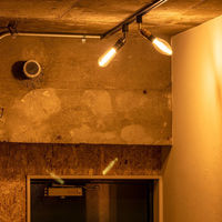 TIC 本体 1灯スポットライト ダクトレール用 ブラス TC-1002-BS 1個（直送品）