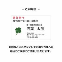 シヤチハタ 【謹賀新年スタンプ付き】御年賀のし付きタオル 100枚組 X-NG-TNET5PX20 1パック（直送品）