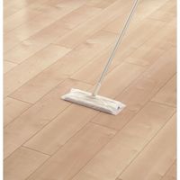 山崎産業 BARIAN(バリアン) ウイルス・菌除去清掃ウェットシート 4903180196067 1セット(1パック(20枚)×8)