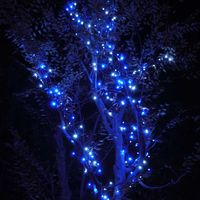 コロナ産業 ラスターライト100球 白・青色LED RTG100WB 1個（直送品）