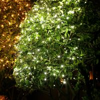 コロナ産業 ラスターライト100球 白色LED RTG100W 1個（直送品）