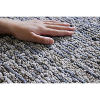 スミノエ HOMEカタログ 抗菌・抗ウィルス ラグ グレイニー 1900×1900mm グレー 4549781265780 1枚（直送品）