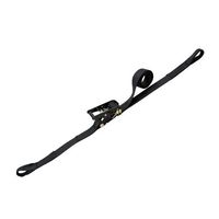 エスコ 50mmx 6.0m/1010kg ベルト荷締機(両端アイ型) EA982SH-36 1個（直送品）