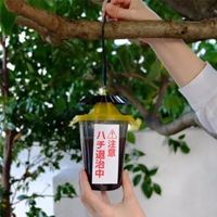 エスコ ハチ捕獲器(ハチがホイホイ) EA941D-82 1セット(10個)（直送品）