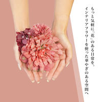 株式会社藤栄 フラワーブーケ リードディフューザー 100ml 4545229169818 1本（直送品）