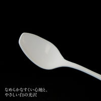 株式会社藤栄 カレーがもっとおいしく感じるスプーン OSP-001 4545229172481 1本（直送品）