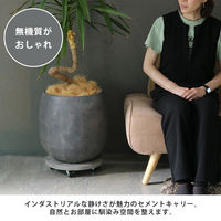 住まいスタイル セメント製キャスター付きプランターキャリー36cm TR360GRY 1個（直送品）