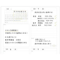 学研ステイフル QuizKnock クイズノック 勉強計画ノート B5 ブルー JD04039 1セット(1冊×5)（直送品）