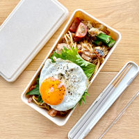 三好製作所 お弁当箱 GEL-COOL square L ジェラート 1段 500ml プレーンバニラ 423634 1個（直送品）