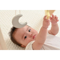 シンセーインターナショナル プレイジム よぞらのプレイジム 赤ちゃん 北欧 0歳 426019 1個（直送品）