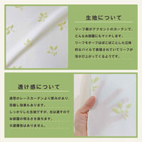 加栄レース レースカーテン リーフ柄 小窓 UVカット ミラーレース 70×120cm 省エネ グリーン 469392 1個（直送品）
