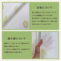 加栄レース レースカーテン 葉っぱ柄 小窓 UVカット ミラーレース 70×120cm 省エネ グリーン 469396 1個（直送品）