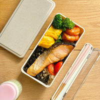 三好製作所 お弁当箱 GEL-COOL square L ジェラート 1段 500ml プレーンチョコ 423637 1個（直送品）