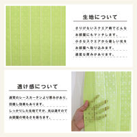 加栄レース カフェカーテン フリーカット 水玉ドット柄 100×115cm 小窓 グリーン 469422 1個（直送品）