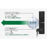 住友ゴム工業 SRIXON TRIーSTAR5(2024) GRN 12P SNTRS5GRN 1個（直送品）