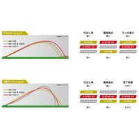 住友ゴム工業 SRIXON ZーSTAR XV9 ロイヤルグリーン 【ダース】 SN ZSXV9 GRN 1個（直送品）