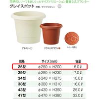 大和プラスチック ヤマト グレイスポット 25型 5L アイボリー 71489 1セット(10個)（直送品）