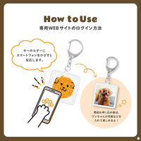 大和 〈perro(ペロ)〉Gift da Won! YM681 1個（直送品）